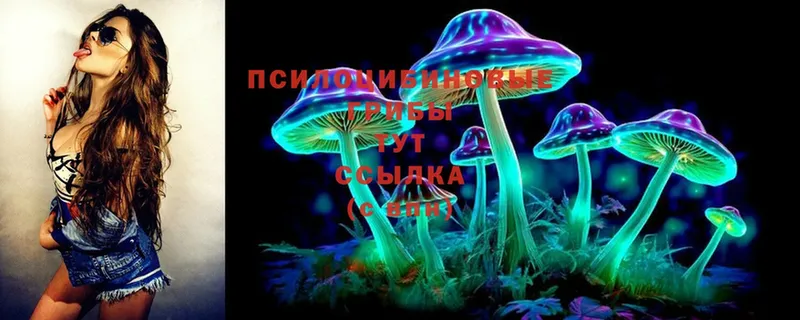 это Telegram  купить наркотик  Баксан  Галлюциногенные грибы MAGIC MUSHROOMS 